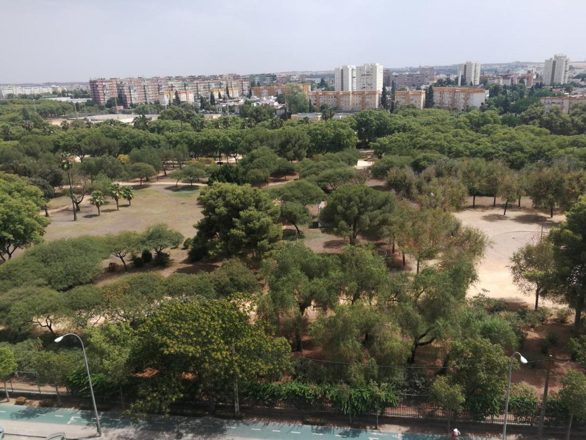Apartamentos Flamenco B&B Севілья Екстер'єр фото