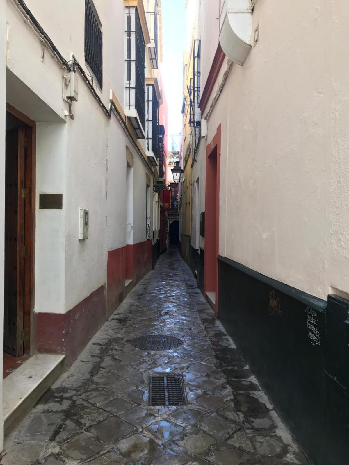 Apartamentos Flamenco B&B Севілья Екстер'єр фото