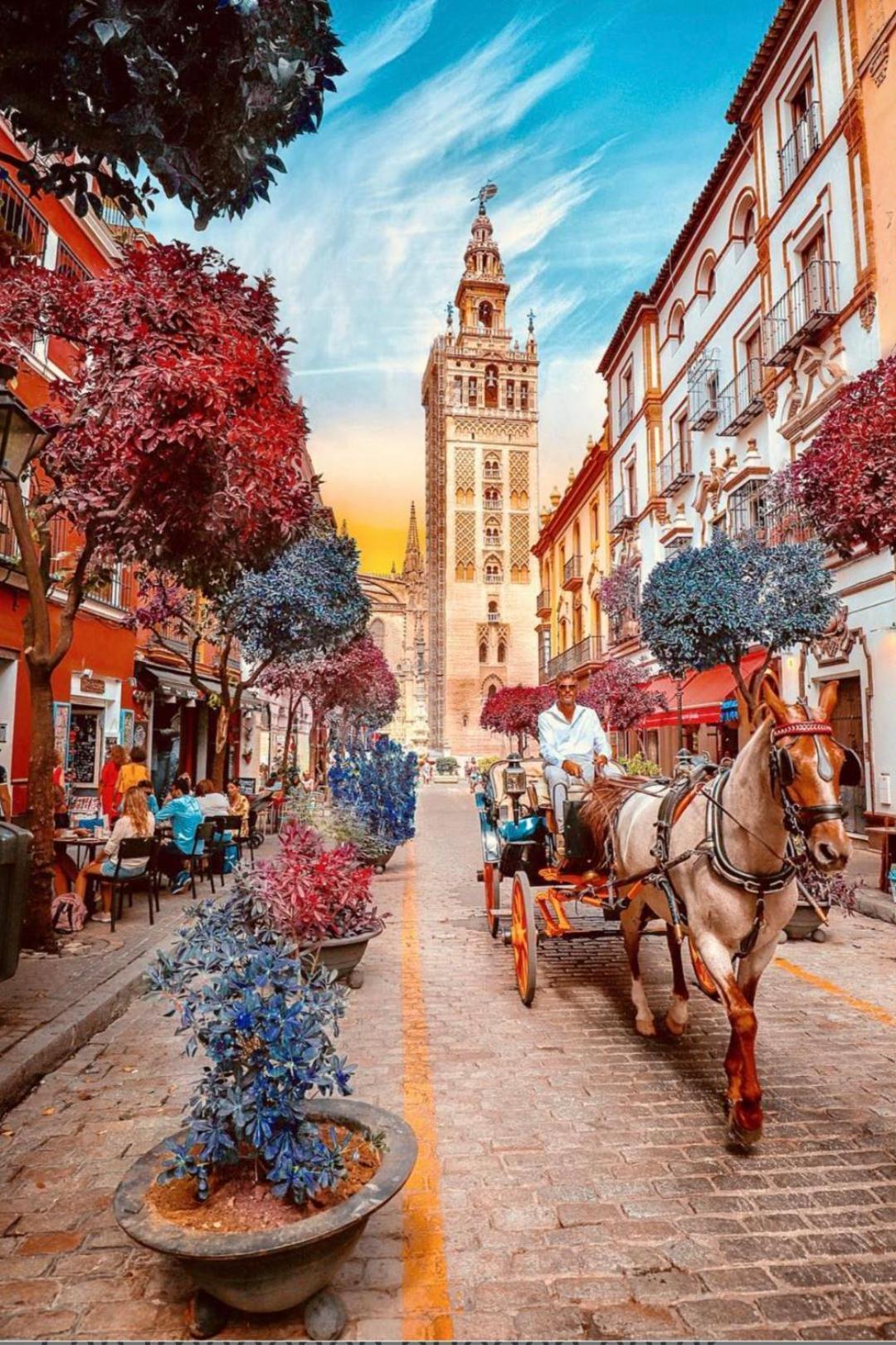 Apartamentos Flamenco B&B Севілья Екстер'єр фото